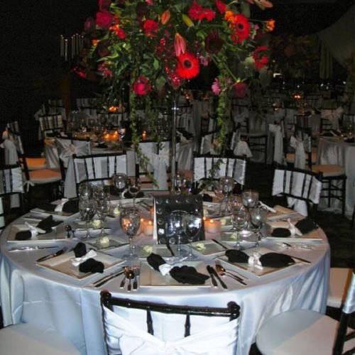 308-DSCN0067-500x500